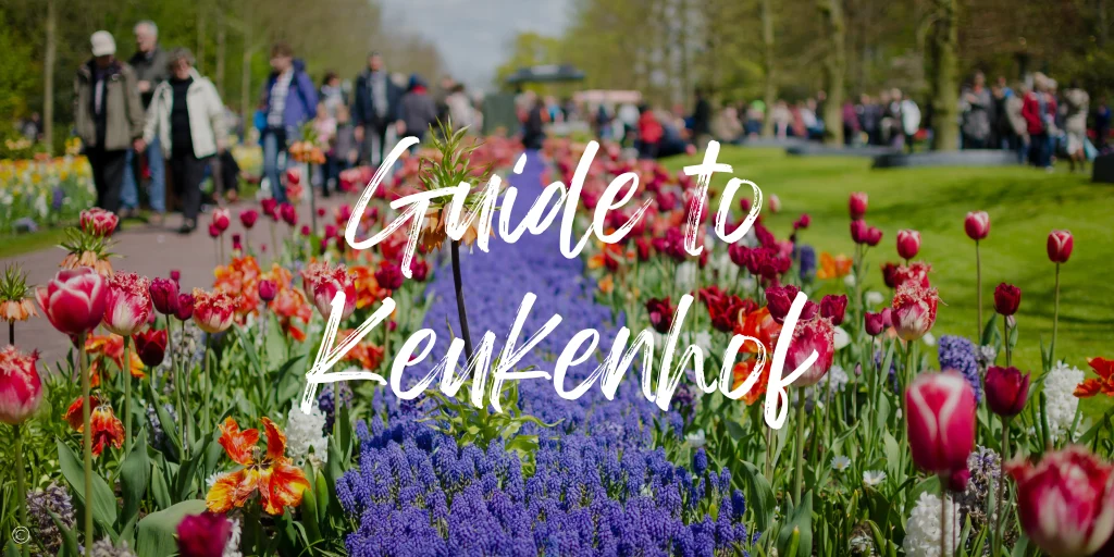 A Guide To Visiting Amsterdam Tulips And Keukenhof Gardens