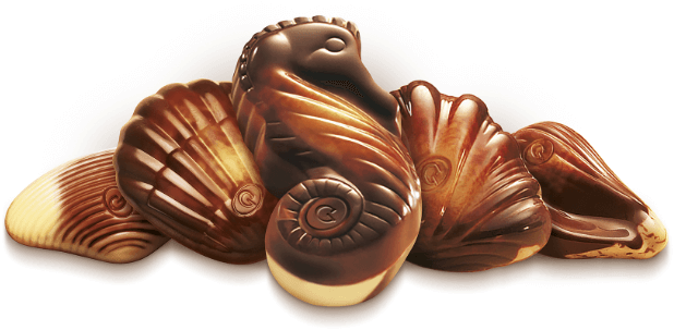 Chocolaterie Hermes – Probably the best Belgian chocolates in the world