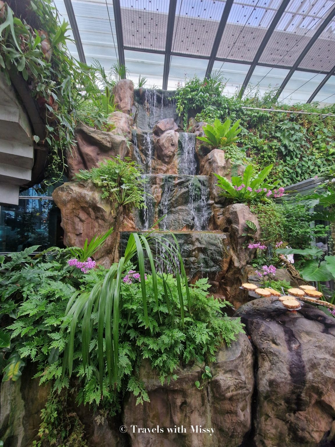 Butterfly Garden Changi Airport: A Breathtaking Oasis in a Bustling Hub ...