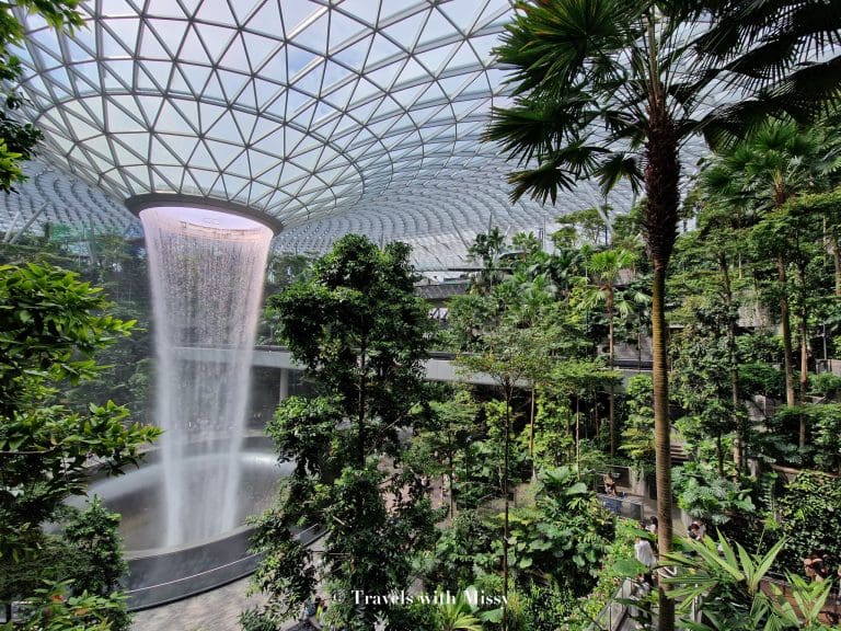 Butterfly Garden Changi Airport: A Breathtaking Oasis in a Bustling Hub ...