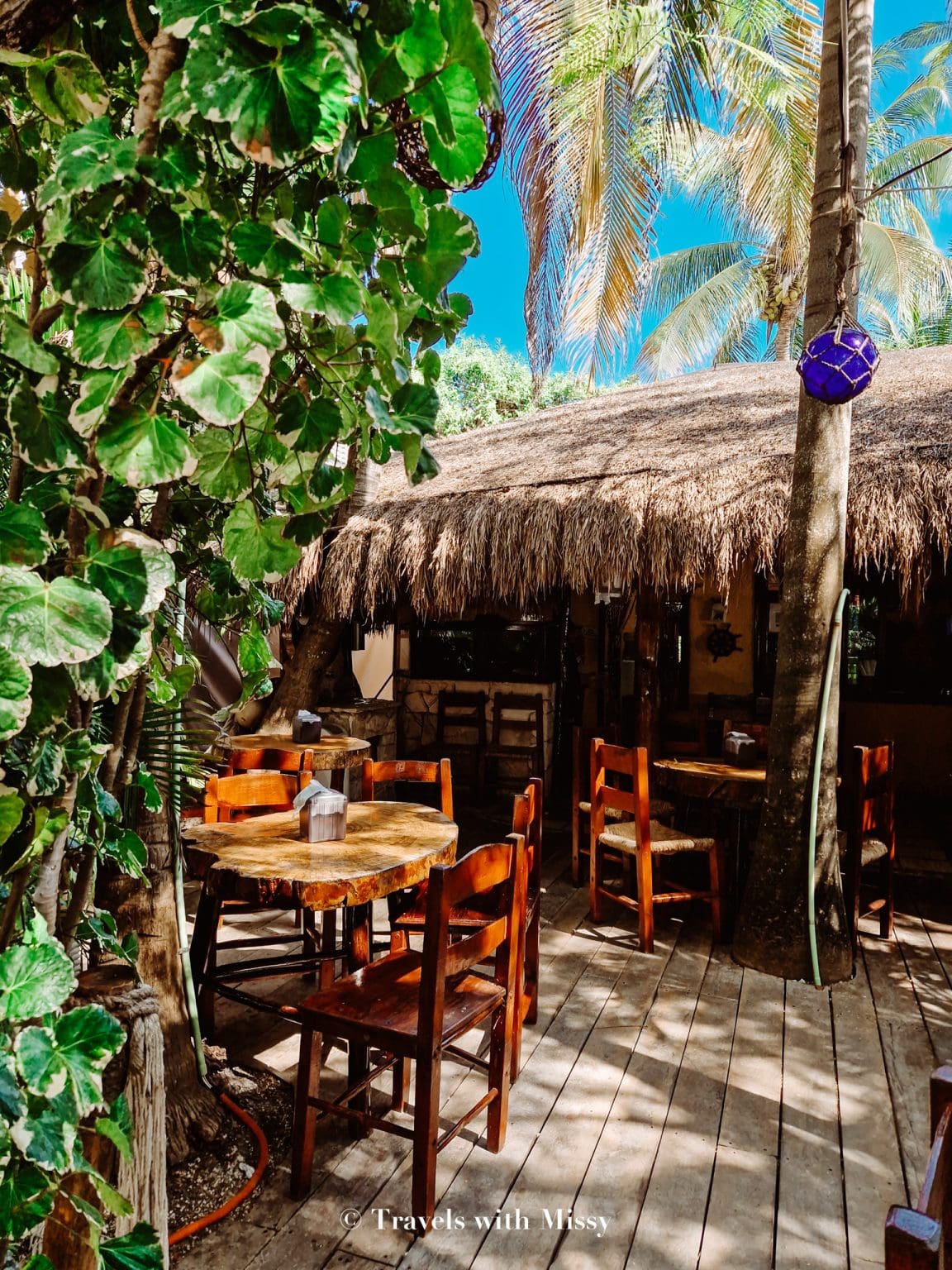 The Guide to Akumal: Hotels, Restaurants & Things To Do - Travels With ...